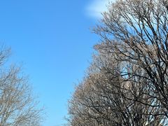 -十三陵水库