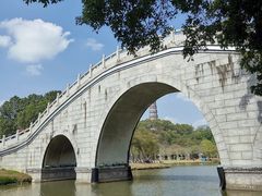 -顺峰山公园