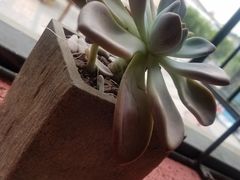 -重庆熙街