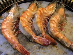 -熊出没日本烧肉放题