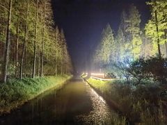 -黄海国家森林公园