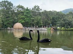 -广州市白云山风景名胜区