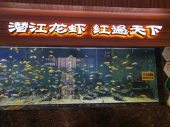 -虾皇(龙虾城旗舰店)