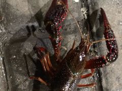 -老四川小龙虾(交通三巷步行街店)