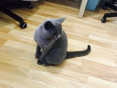 -壹人壹像工作室(购物公园店)