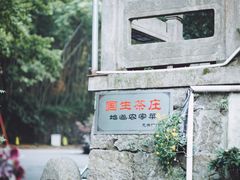 -国生茶庄·地道农家菜团建活动