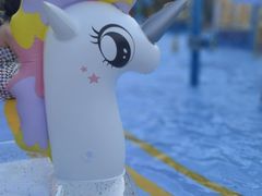 -重庆海昌加勒比海水世界