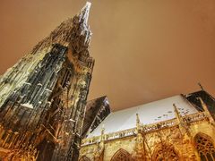 -斯蒂芬主教座堂(Stephansdom)