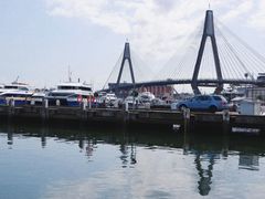 -悉尼鱼市场