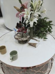 -健身堂科技美肌SPA