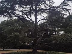 -上海虹桥迎宾馆
