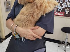 -安安宠医宠物医院·异宠·犬猫内科(岳阳分院)