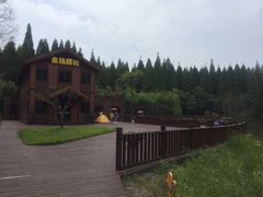 -黄海国家森林公园