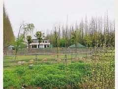 -前小桔亲子创意农场·草莓采摘·露营烧烤