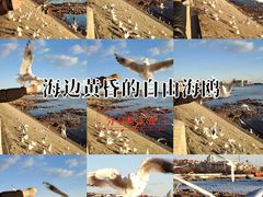 -青岛海滨风景区