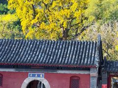 -北京凤凰岭