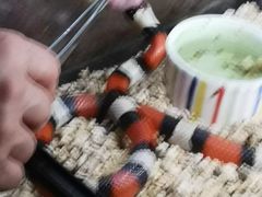 -藦茜花园宠物主题亲子互动体验馆(国顺东路店)