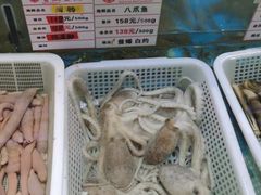 -宝燕壹号(徐汇店)