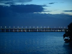 -宝安西湾红树林湿地公园