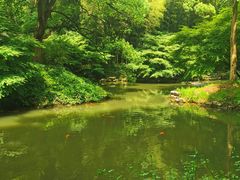 -杭州植物园