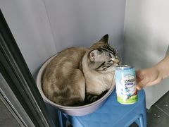 -簋街