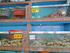 -上海龙吴水胜海发市场