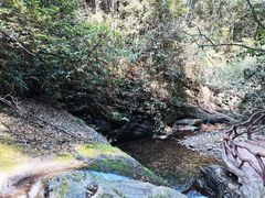 -江西阳明山国家森林公园