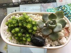 -园林格兰云天大酒店-太极名厨中餐厅