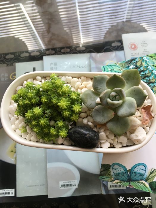 园林格兰云天大酒店-太极名厨中餐厅图片