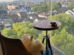 -顽啤熊·酒客酒馆(苏城夜景必选店)