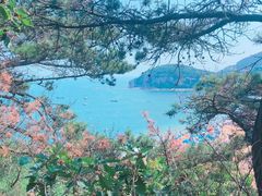 -大连海昌东方水城