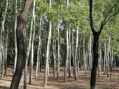 -东郊湿地公园