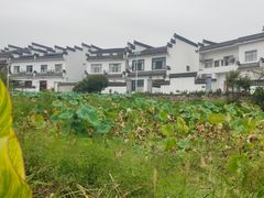 -西溪南古村落
