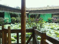 android_upload_pic-荷香居(洞企石路店)