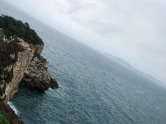 -杨梅坑
