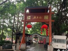 -侨美·唐荔园·40年地道粤菜