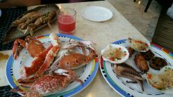 -阳光五洲大酒店·宴会厅