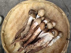 -云南木水花野生菌交易中心