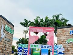 -宝安西湾红树林湿地公园