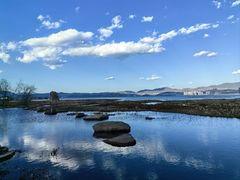 -洱海月湿地公园