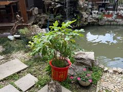-漫渡庄绿岛花园•隐世庭园菜(滨湖店)