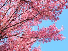 -天龙八部武侠城