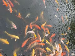 -大门水乡·顺德菜