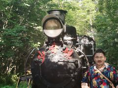 -五营红松林海景区