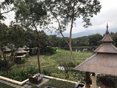 -四季酒店下午茶