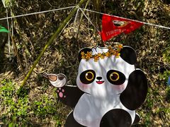 -栾川竹海野生动物园