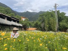 -苍山世界地质公园·石门关大峡谷