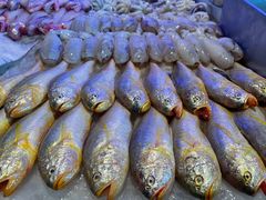 -荣记火锅(青悦城店)