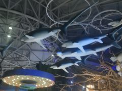 -烟台海昌鲸鲨海洋公园