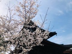 -广富林郊野公园